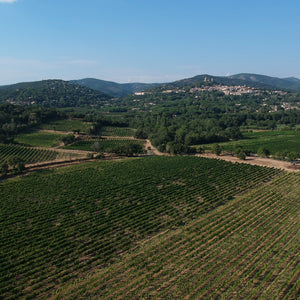 Szőlőterületek a provence-i régióban